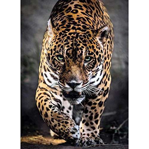 Clementoni - Puzzle de 1000 Piezas, diseño Walk of The Jaguar (39326.8)