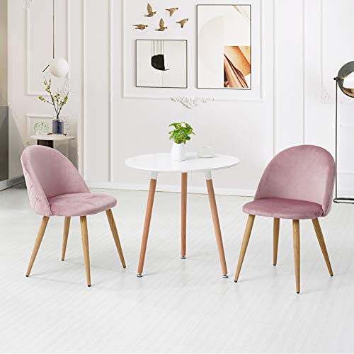 CLIPOP Juego de 2 sillas de Comedor tapizadas de Terciopelo con Respaldo y Patas de Metal para sillas de Comedor, salón y Dormitorio, Tela de Terciopelo, Rosa