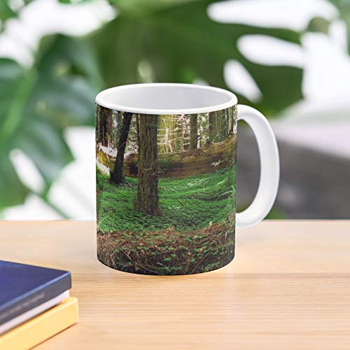 Coast Forest Trees Nature Redwoods Humboldt La Mejor Taza de café de cerámica de mármol Blanco de 11 oz