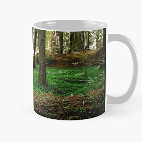 Coast Forest Trees Nature Redwoods Humboldt La Mejor Taza de café de cerámica de mármol Blanco de 11 oz