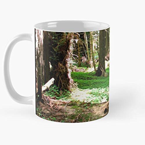 Coast Forest Trees Nature Redwoods Humboldt La Mejor Taza de café de cerámica de mármol Blanco de 11 oz