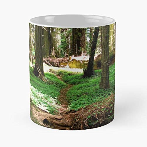 Coast Forest Trees Nature Redwoods Humboldt La Mejor Taza de café de cerámica de mármol Blanco de 11 oz