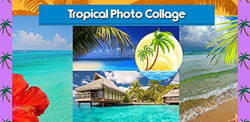 Collage de fotos tropicales