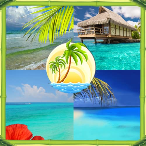 Collage de fotos tropicales