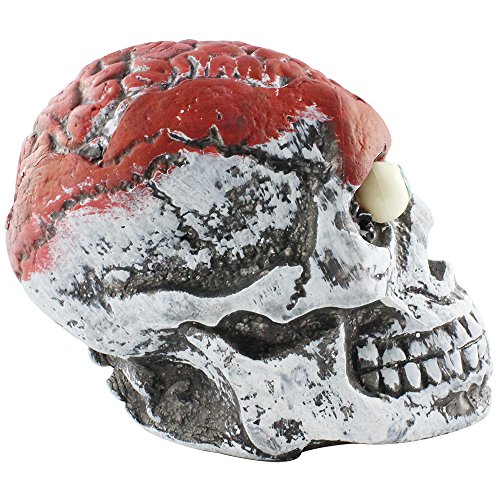 com-four® Calavera Cerebro ensangrentado para Halloween - Calavera como decoración de Mesa - Ideal para Carnaval y Fiestas temáticas (01 Piezas - Calavera Deco)