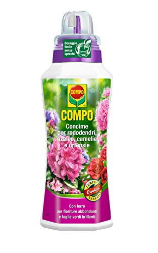 Compo 1086302005 fertilizantes para Azaleas, Rhododendron y camelias, 1 L, verde, 9 x 18,7 x 27 cm