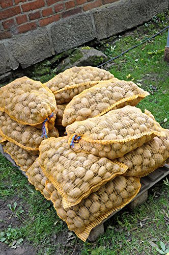 Conjunto de 100 sacos para patatas, verduras o cebollas (51 x 80 cm)