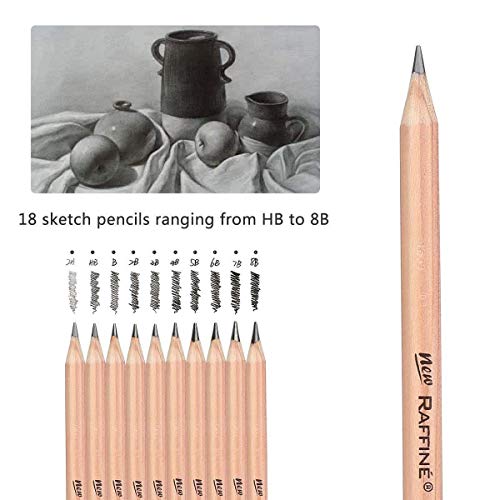 Conjunto de Lapices de Dibujo,SouthStar 18pcs Bocetos Lápices de Dibujo para Dibujar y Dibujar con Lápices de Carbón, Sobras,Bolígrafos de Papel de Arroz, Cortador, Borrador y Estuche para Lápices