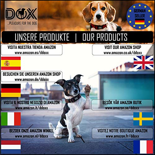 DDOXX Comedero Antivoracidad Perro, Antideslizante | Muchos Colores y Tamaños | para Perros Pequeño, Mediano y Grande | Bol Accesorios Melamina Gato Cachorro | Rosado, 300 ml