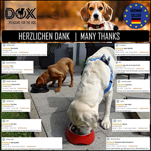 DDOXX Comedero Antivoracidad Perro, Antideslizante | Muchos Colores y Tamaños | para Perros Pequeño, Mediano y Grande | Bol Accesorios Melamina Gato Cachorro | Rosado, 300 ml