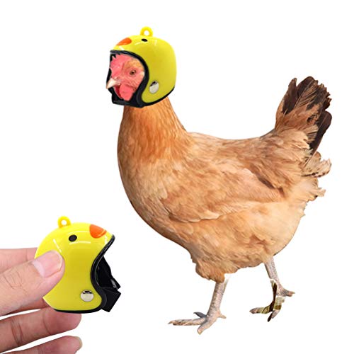 Delaspe - Casco de pollo, diseño de caricatura de pollo, ajustable, apto para aves de corral, casco pequeño para mascotas