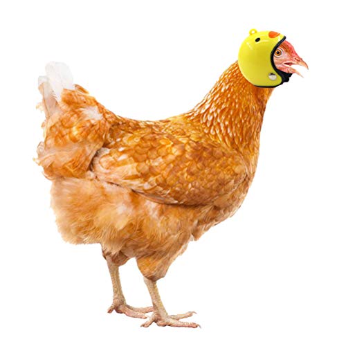 Delaspe - Casco de pollo, diseño de caricatura de pollo, ajustable, apto para aves de corral, casco pequeño para mascotas