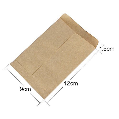 DEOMOR 100pcs(9x13cm) Bolsas Bolsitas Papel Kraft Pequeñas Estraza Marrón para Regalos Semillas Híbridas de Maíz Saco de Granja Caramelos Joyas (100pcs, 9X13cm)