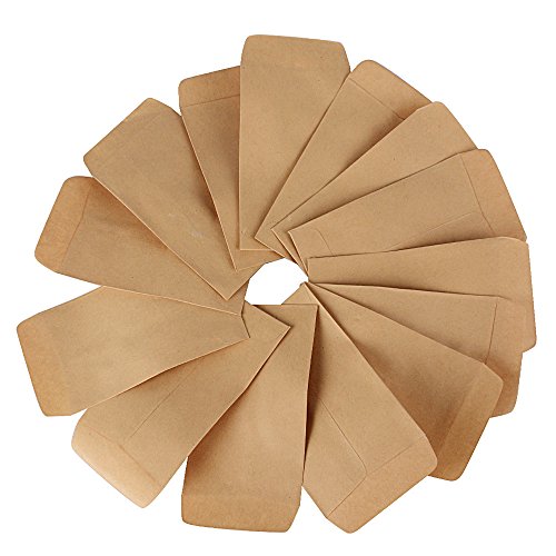 DEOMOR 100pcs(9x13cm) Bolsas Bolsitas Papel Kraft Pequeñas Estraza Marrón para Regalos Semillas Híbridas de Maíz Saco de Granja Caramelos Joyas (100pcs, 9X13cm)