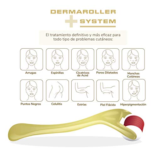 Dermaroller Rodillo Facial 540 Microagujas Titanio 1.0 mm - Ideal para tratar cara, cuerpo, flacidez, celulitis, estrías blancas, manchas, alopecia, calvicie, pelo, cicatrices, marcas, poros dilatados