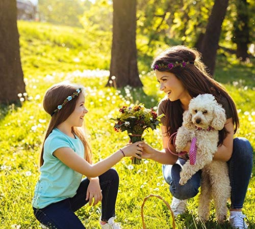 Diadema de Flores 12 Piezas Bohemia Corona de Flores con Cinta Elástica Ajustable para Mujeres Niñas Fiesta Playa