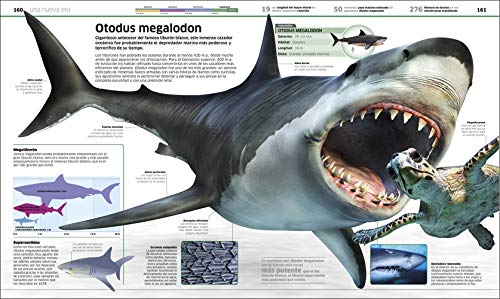 DINOSAURIOS: Más de 60 criaturas prehistóricas como nunca antes las habías visto (Conocimiento)