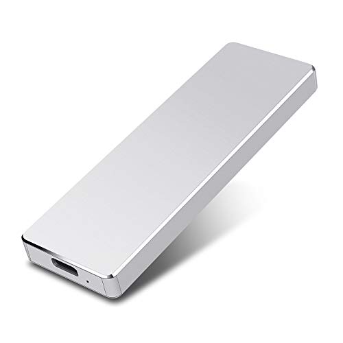 Disco Duro 1 TB Externo Portátil, Type C USB3.1 Disco Duro Externo para PC, Mac, Windows, Apple, Xbox One, Xbox 360 (1 TB, Plata)