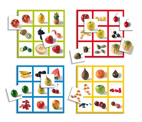 Diset- Juguete educativos Loto Photo Fruits (68943)