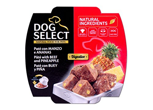 Dog Select Paté con Buey y Piña - 12 Tarrinas