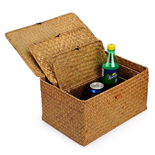 DOKOT Seagrass Cestas Mimbre Decoración Cesto de Almacenaje con Tapa Rectangular Tejido de Ratán Caja con Tapa 3 Piezas (Grande + Mediano + Pequeño)