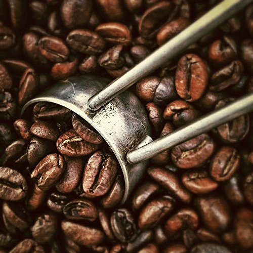 Dreamy Bean Pecan Nut Flavour Coffee (227g cafetiere grind) / Café Aromatizado Nuez de Pacana 227g