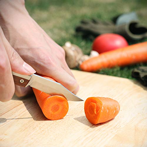 DURATECH Navaja Plegable, Cuchillo de Acero Inoxidable con Mango de Madera, Cuchillo Plegable de Bolsillo para Camping, Picnic, Senderismo, Emergencias