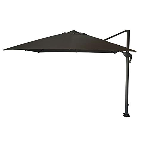 Edenjardi Parasol de Exterior descentrado con mástil Lateral, Cuadrado 300x300 cm,Tela con gramaje 250 gr Gris,Inclinable y Giratorio 360 Grados con manivela, No Incluye Base de Parasol