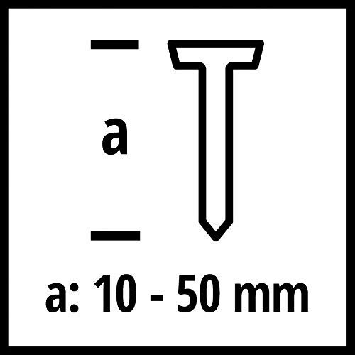 Einhell Grapadora de aire comprimido TC-PN 50 (8.3 bar, de grapadora y pistola de clavos, nariz de seguridad, incl. 1500 grapas y 2000 clavos, botella de aceite, boquilla, maletín de transporte)