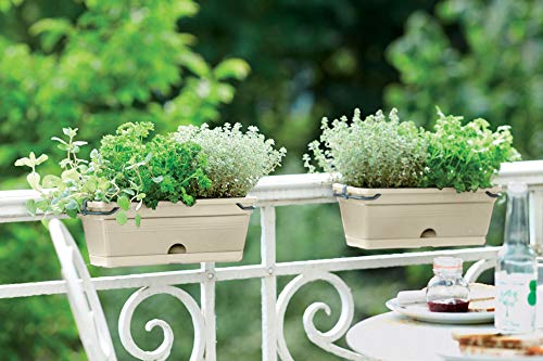 Elho Green Basics Trough Mini Allin1 30 - Jardinera - Cotton White - Exterior & Balcón - L 19.5 x A 30.2 x A15.6 cm