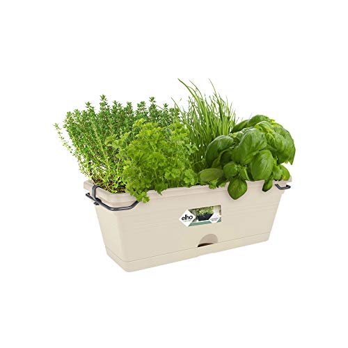 Elho Green Basics Trough Mini Allin1 30 - Jardinera - Cotton White - Exterior & Balcón - L 19.5 x A 30.2 x A15.6 cm