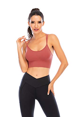 Enjoyoself Sujetador Deportivos 1-3 Pack Yoga Jogging Lencería Sujetador Acolchado Ropa Interior Deportiva Push Up Brassiere Elástico Almohadillas Extraíbles