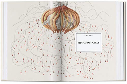 Ernst Haeckel – 40Th Anniversary Edition