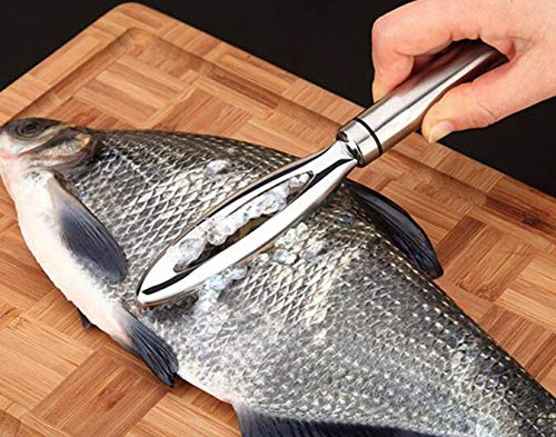 Escamas de Pescado Raspador Eliminar Peleador Más Limpio Herramienta Cocina Acero Inoxidable(24.9 * 3CM)