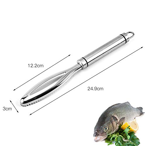 Escamas de Pescado Raspador Eliminar Peleador Más Limpio Herramienta Cocina Acero Inoxidable(24.9 * 3CM)