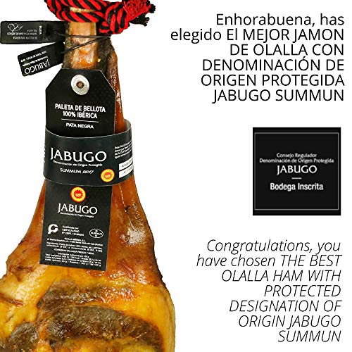 Estuche Paleta de Jamon Iberico de Bellota 100% DOP Jabugo Summun - 10 Sobres Loncheados 100 gr Jamon de Jabugo Pata Negra Cortado a mano y Envasados al Vacio - Regalos Ibericos Gourmet - 1 kg