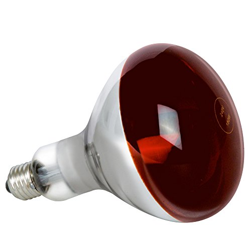 Estufa Infrarrojos Portatil + Lámpara Bombilla (250W E27) [ PACK ] - Luz Roja - Emite Calor