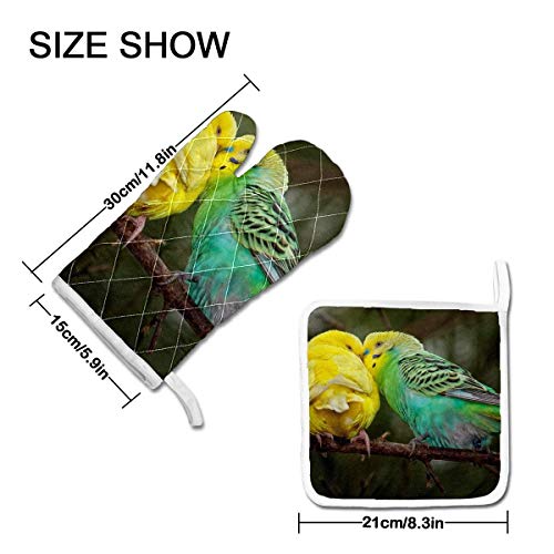 FHTDH Suministros de Cocina, Guantes de Horno y Juegos de ollas Budgie Pair Beaks Colourful Animal World Friendship Oven Mitts Potholder Set for Kitchen Heat Resistant Non-Slip Heat Insulation Gloves