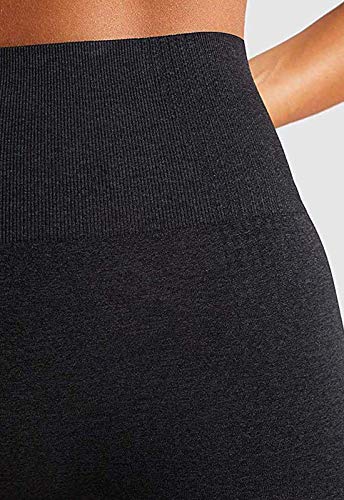 FITTOO Leggings Sin Costuras Mujer Pantalon Deportivo Alta Cintura Yoga Elásticos Seamless #1 Negro Large