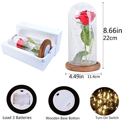 FunPa Rosa Eterna Roja, Rosas La Bella y la Bestia Rosa de Seda Roja y luz LED Flor en Cúpula Vidrio con Pedestal de Madera Boda Regalo para de Día de la Madre