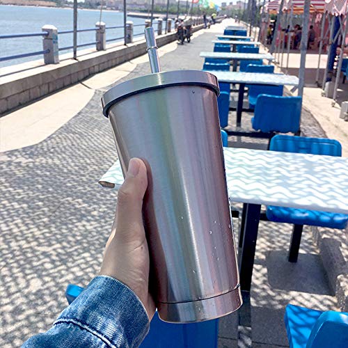 Galapara Vaso de Acero Inoxidable con Pajita y Tapa, 500ml Bebidas frías y Calientes Botellas de Agua de Metal con Aislamiento al vacío Conjunto de Tapa de Paja Taza portátil de viaj