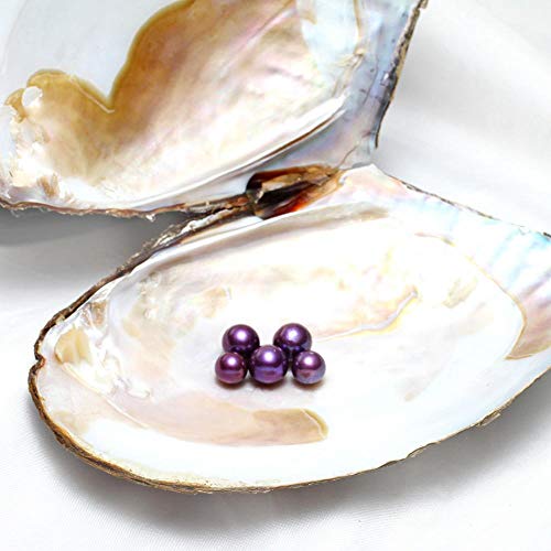 Gelory Perlas cultivadas de agua dulce en el interior - Perla cultivada del amor del deseo de la perla 11-13mm 5PCs/set Edison Pearl Wish Oyster (cielo azul)