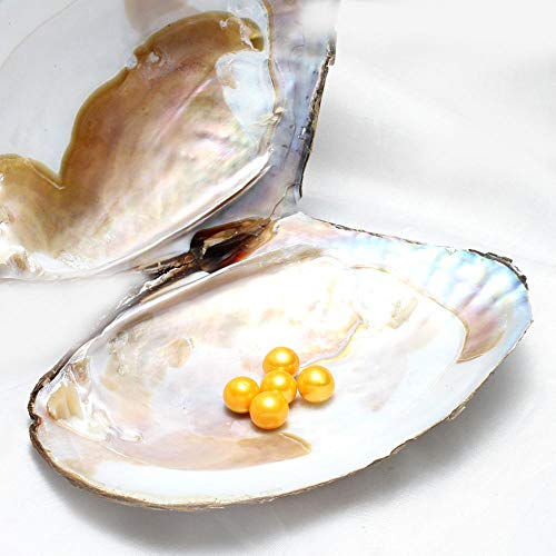 Gelory Perlas cultivadas de agua dulce en el interior - Perla cultivada del amor del deseo de la perla 11-13mm 5PCs/set Edison Pearl Wish Oyster (cielo azul)