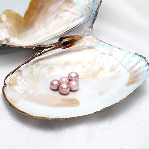 Gelory Perlas cultivadas de agua dulce en el interior - Perla cultivada del amor del deseo de la perla 11-13mm 5PCs/set Edison Pearl Wish Oyster (cielo azul)