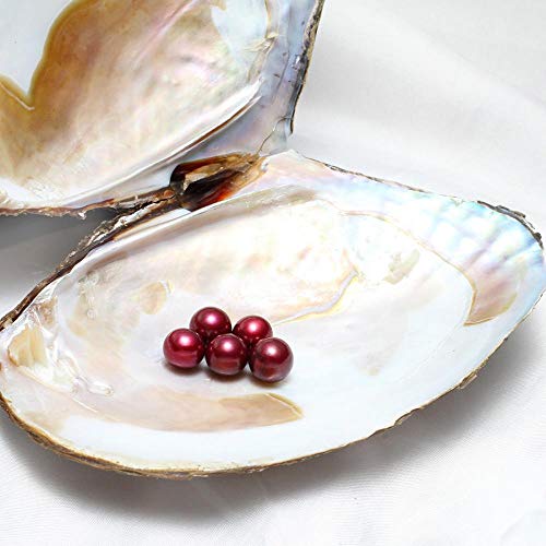 Gelory Perlas cultivadas de agua dulce en el interior - Perla cultivada del amor del deseo de la perla 11-13mm 5PCs/set Edison Pearl Wish Oyster (cielo azul)