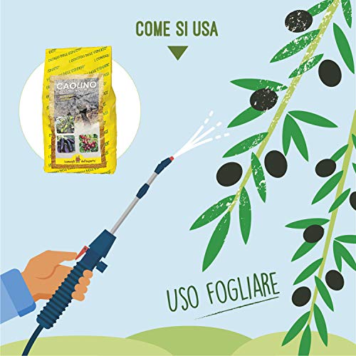 Glooke Selected Los Consejos DELL ́ por Parte de los Expertos Polvo de Roca de caolín 1,2 kg-Cura de Las Plantas, Multicolor, única