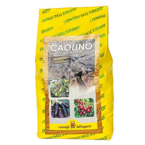 Glooke Selected Los Consejos DELL ́ por Parte de los Expertos Polvo de Roca de caolín 1,2 kg-Cura de Las Plantas, Multicolor, única