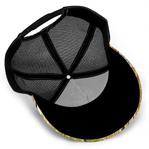 Gorra de béisbol Hombres Mujeres, Primer Plano tablones de Madera Vieja Textura de Fondo Camionero Ajustable Malla Verano venteado béisbol Gorra de Sol Sombrero Gorra para Mujeres