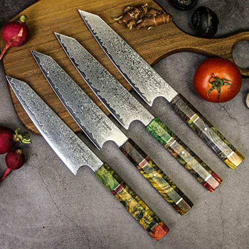 Hajegato Cuchillo de Chef Damasco Mango Profesional único, Cuchillo de Cocina japonés Vg10, 67 Capas de Acero de Damasco con Funda