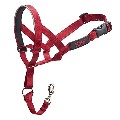 Halti Headcollar